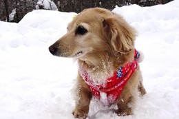 ふ　クー　２．４→２・６