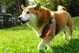 み つぶ 9・17→10・1