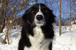 ひ めい 2・3→2・17