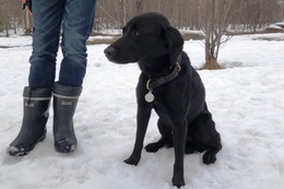 に　ブリンクリー