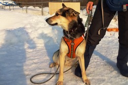 ふ 平蔵 3・14→3・17