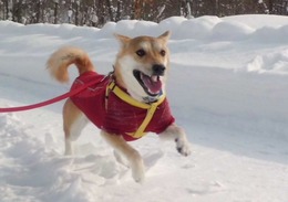 て 風