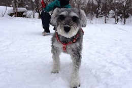 い こうめ 新2歳