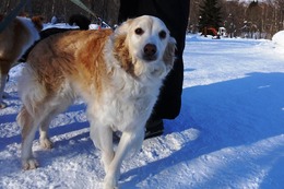 つ リック 2・25→2・27