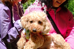 お 杏 新6歳になりました