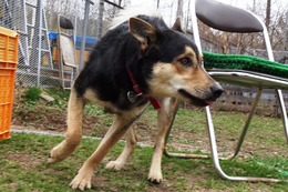 ふ ロン 4・26→5・31