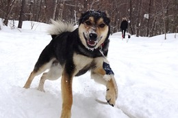 ふ ロン 2・24→2・26