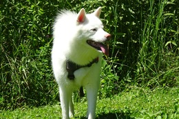 に　つらら　７・２４→７・２８