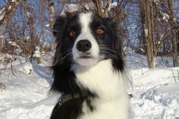 ひ ゆう 2・3→2・17