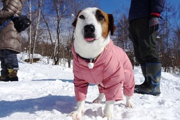 た　ケンタ　２・２８→３・１