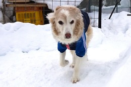 つ リック 1・31→2・15