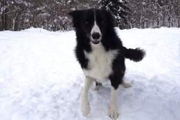 ひ めい 1・4→2・25