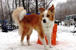 つ クレル 昨3・22→2・17