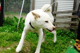 ま うたまる 6・3→6・16