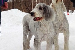 ひ パンダ 3・21→3・22