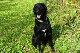 お トミー 9・23→10・1