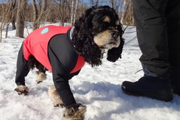 は ベル 3・12→3・17