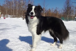 ひ　ゆう　３・１２→３・１７