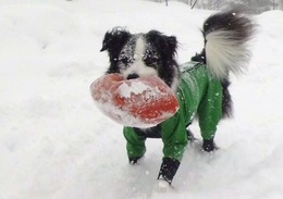 つ 瑠花