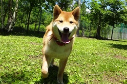 ち　来凛　新４ヶ月