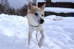 た 万次郎 2・16→2・17