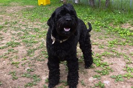 さ しょう 5・28→5・31