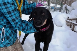 む　グミ　10歳になりました