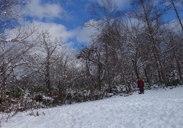 DSC04645