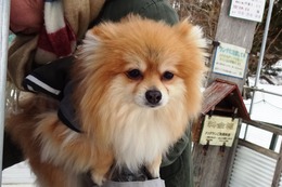 な　しょうきち