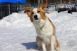 つ クレル 3・14→3・17