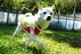 た 万次郎 9・17→10・1