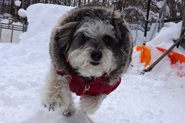 よ ソラ 2・16→2・15