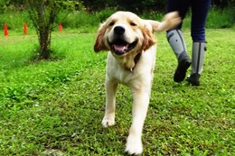 ま ボス 8・9→8・12