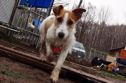 な チョコ 4・26→5・31