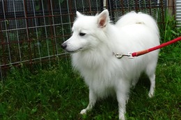 な ゆきむら 7.22→7.29