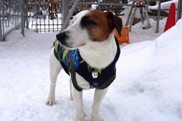 た　ケンタ　１・２４→２・７