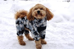 よ 福丸 2・12→2・15