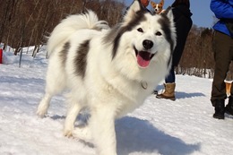 な くるる 3・14→3・17