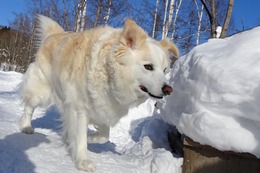 や リューイ 2・18→2・25