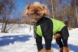 は るい 3・12→3・17