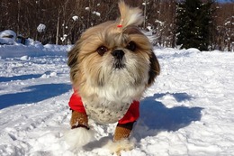 と　リリー　２・２→２・８