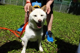 あ　福　新１歳誕生日は昨日