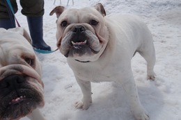 お　きゃんでぃ