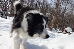 つ 花音 3・19→3・23