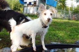 い ちょび 2014.9.14→2018.7.29