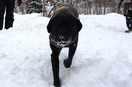 に ブリンクリー 2・21→2・26