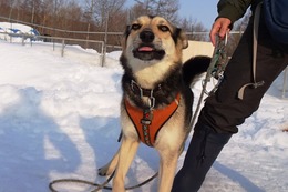 ふ 平蔵 3・14→3・21