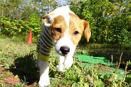 た おとめ 10・1→10・2