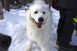 む さぶろう1・28→2・4