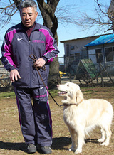 fujii